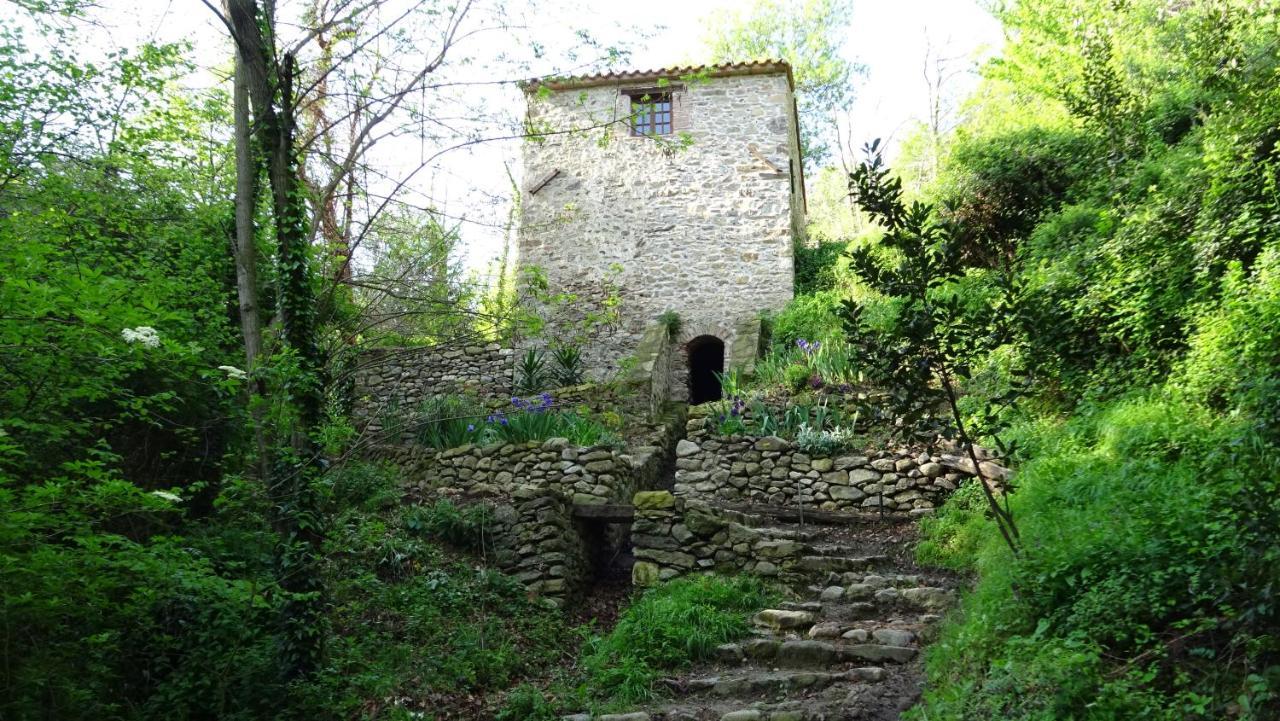 Gite Du Couchant Соред Экстерьер фото